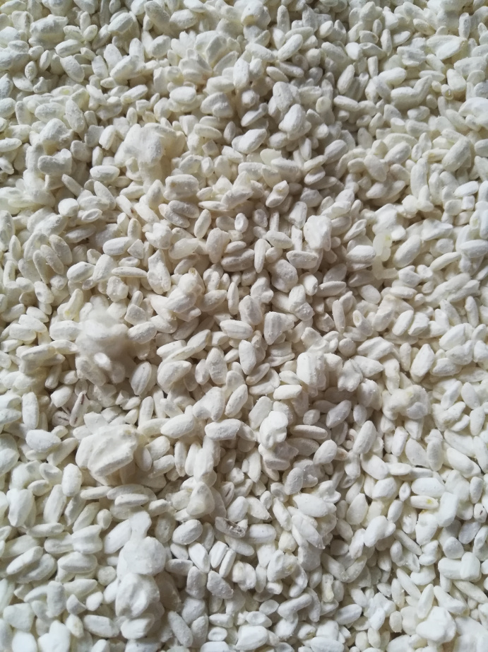 This Koji has been stirred a few times after the first stirring at 24h.