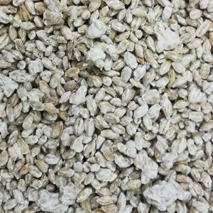 Organic Dried Koji Barley – 500 g