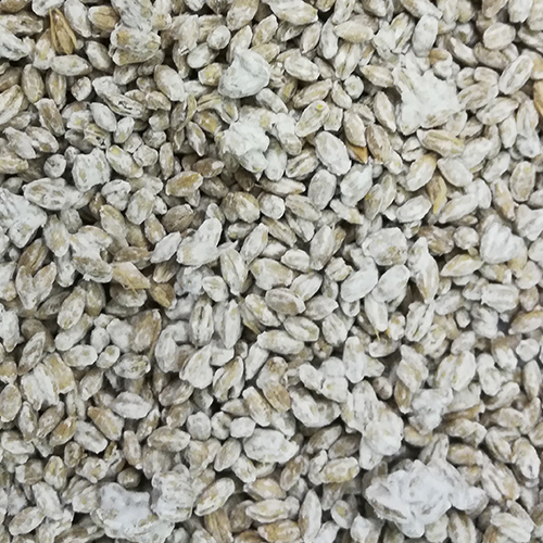 Organic Dried Koji Barley - 500 g