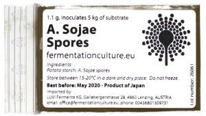 Aspergillus Sojae Spores