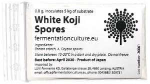 White Koji Spores