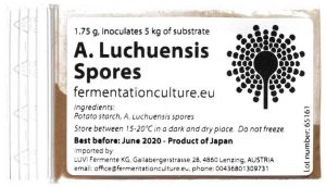 A. Luchuensis Spores