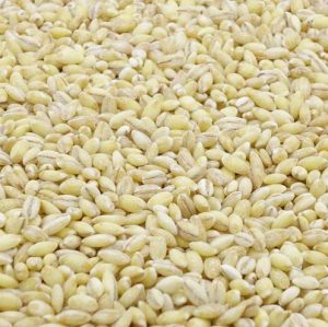 Organic pearled barley