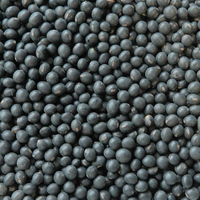Organic Black Soybeans “Kuro Sengoku” – 0.5kg